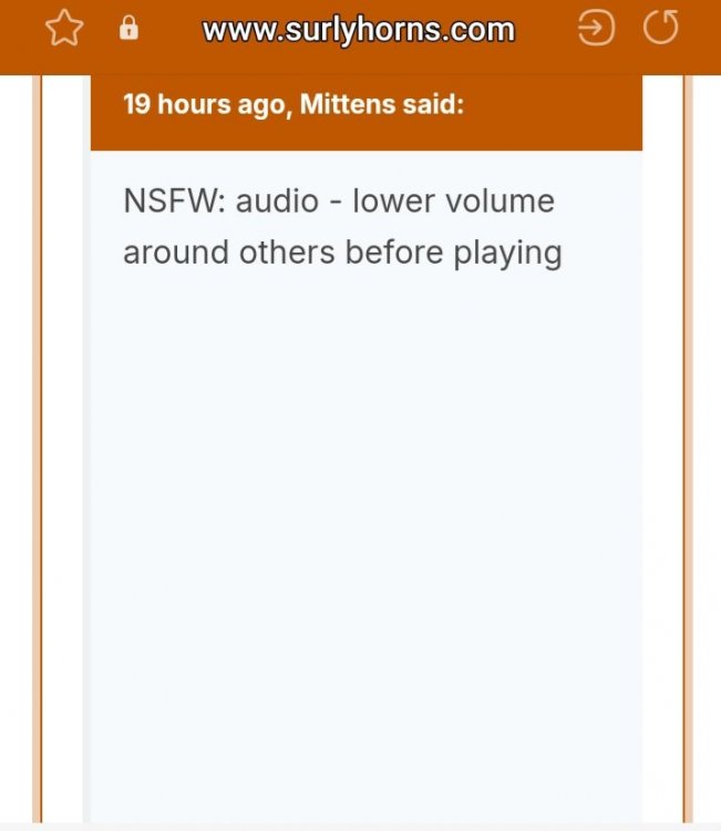Screenshot_20240912_113005_Samsung Internet.jpg