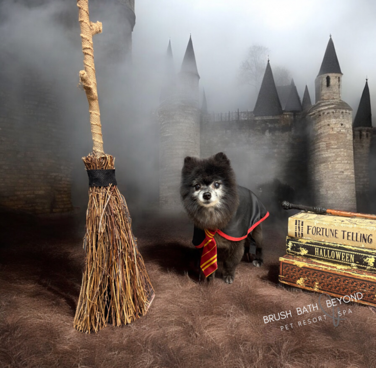 1729796458cde2caeadbfa4116a2e12d6f518ab045.JPG 1,080×1,080 pixels.jpeg