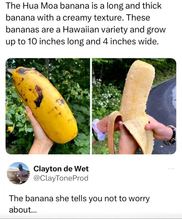 banana.jpg