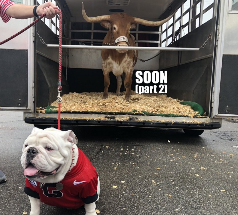 bevo-soon-again.thumb.jpg.0b95016d9f973a04e51b65bf3368eb27.jpg
