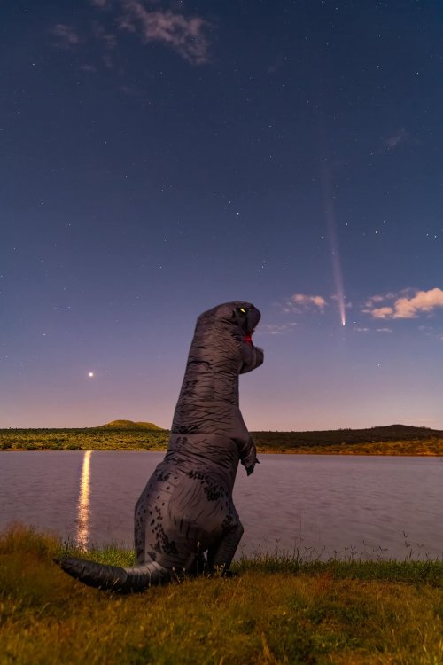 dinocomet.thumb.jpg.5c5df5519dbb13232a6658146c2533fd.jpg