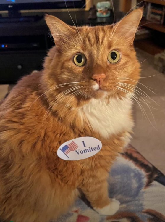 ivomited.jpg
