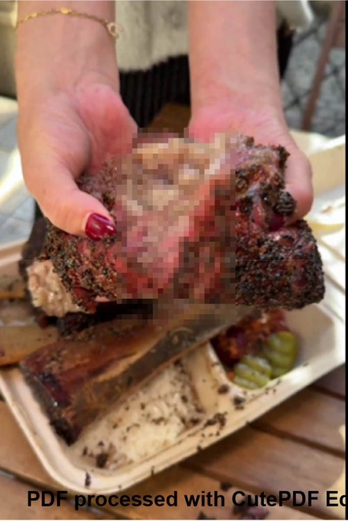 bbq pixelated 2 (1).jpg