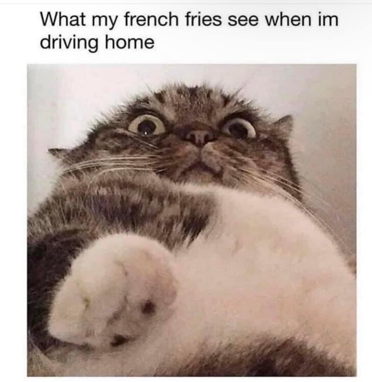 frenchfries.jpg