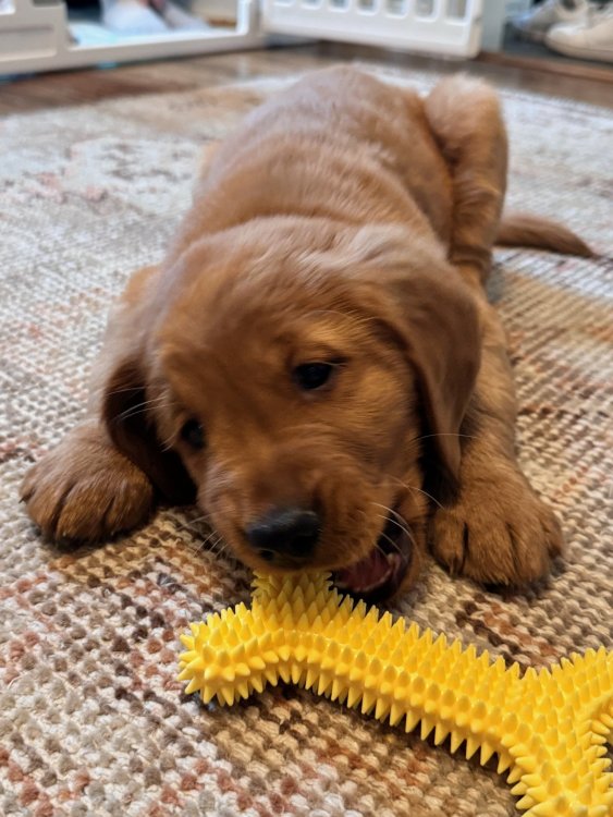 2024-12-15 10.58.42.jpg