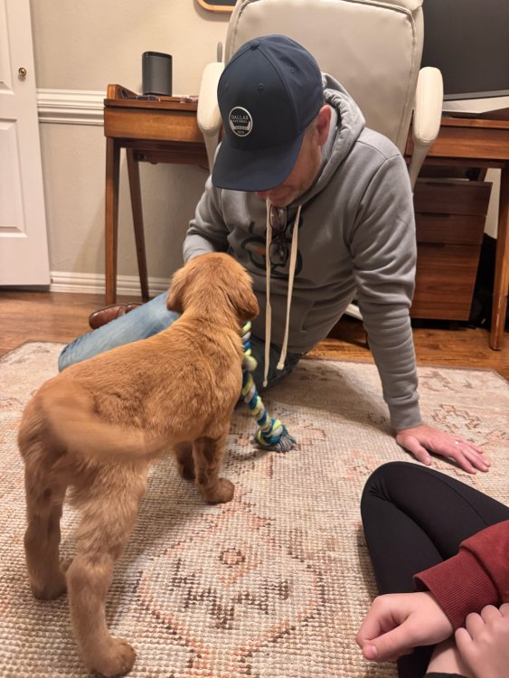 2024-12-15 18.10.39.jpg