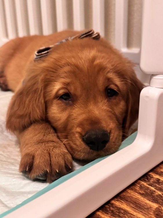 2024-12-15 19.30.33.jpg