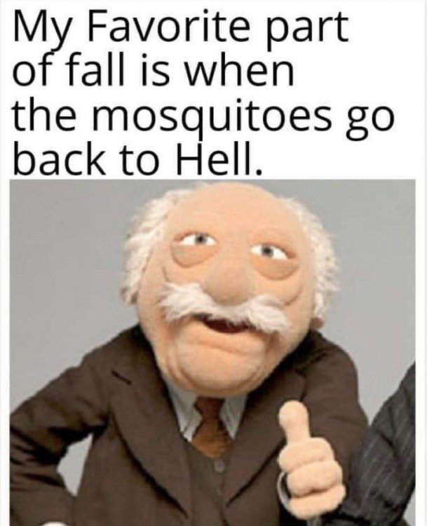 mosquitohell.jpg