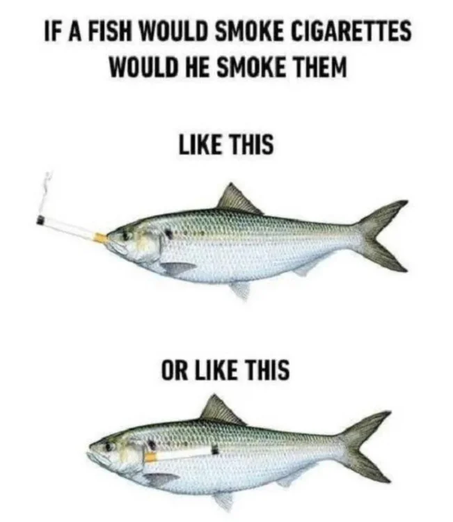 smoking fish.webp