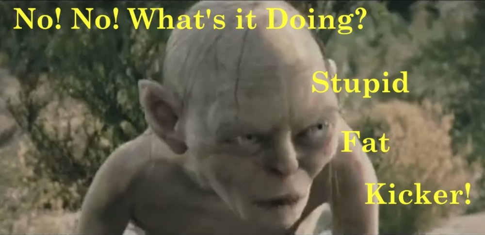 Gollum-StupidFatKicker.thumb.jpg.4c52a7abf93d7826041c7336d949f829.jpg