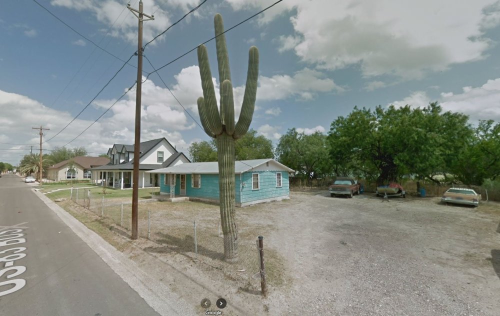 Saguaro San Ygnacio.jpg