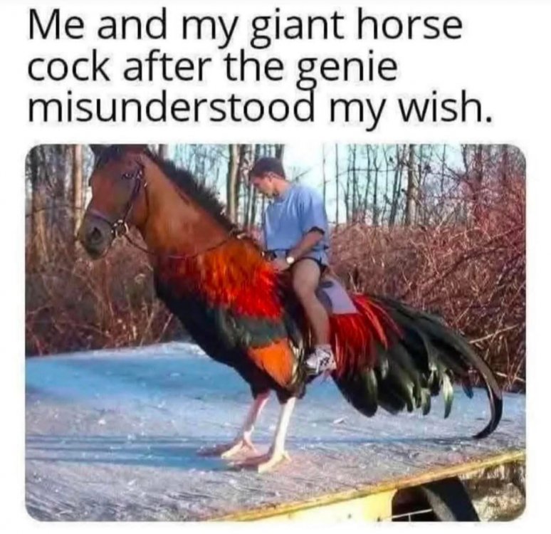 horsecock.jpg