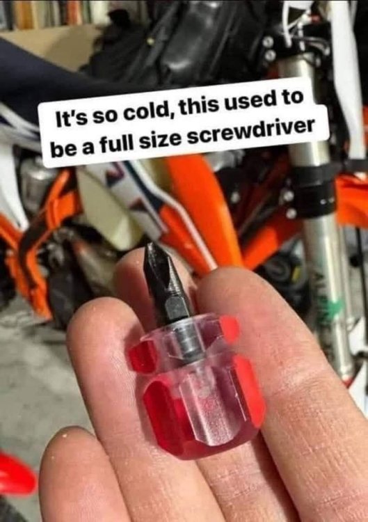 coldscrewdriver.jpg