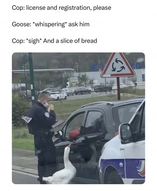 copgoosebread.jpg