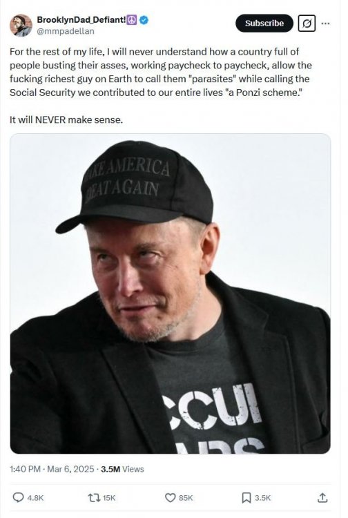 Musk Ponzi scheme.jpg