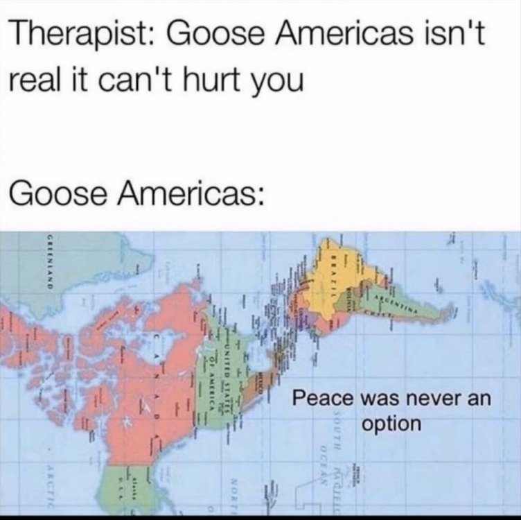gooseamericas.jpg