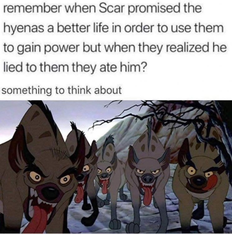scarhyenas.thumb.jpg.69d94f1695385d0f3396c20a3fb395c2.jpg