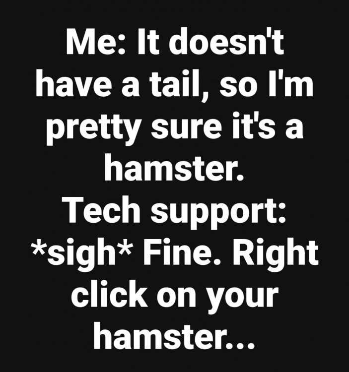 techhamster.jpg