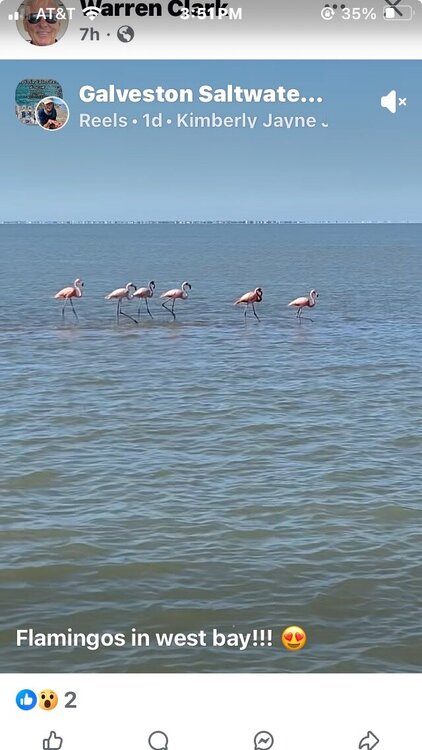 Screenshot 2025-05-13 at 3.51.19 PM.jpeg