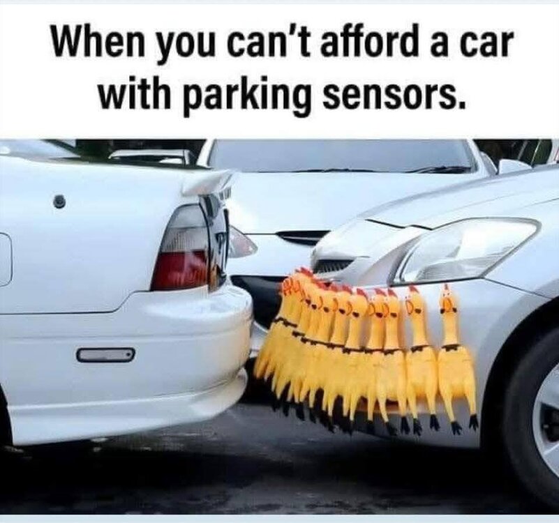 chickenparkingsensors.jpg