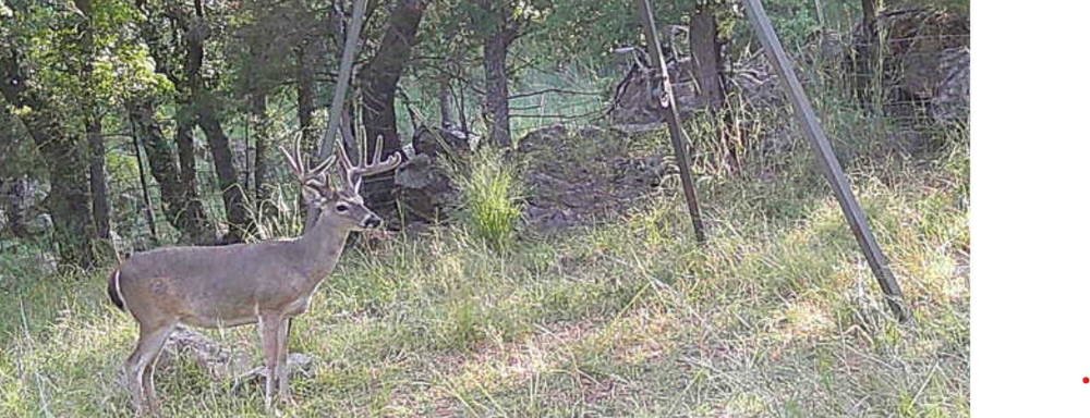 Screenshot 2025-08-26 083844.png