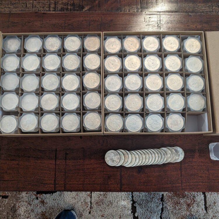 silver_dollars.thumb.jpg.34a77f196f723806722ddf223f1a6c07.jpg