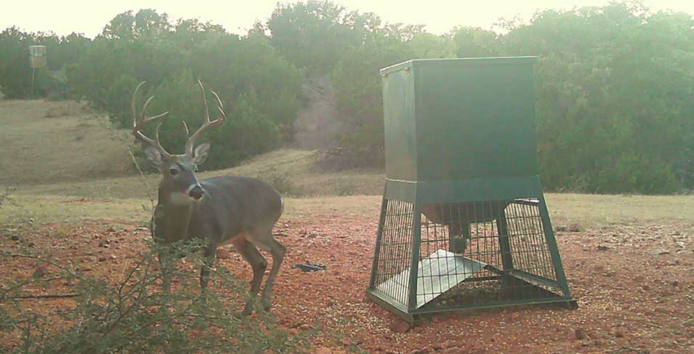 Screenshot 2025-10-21 094705.png