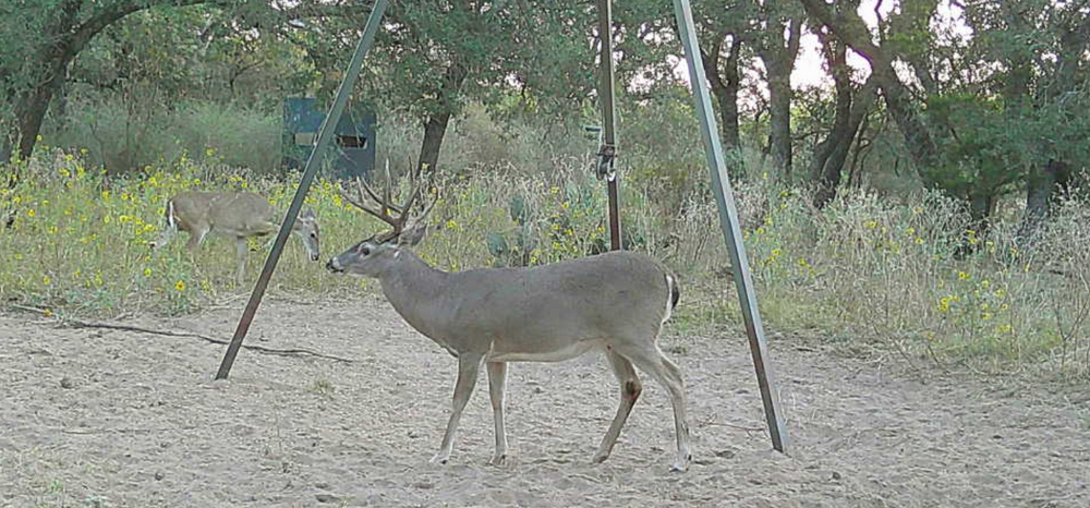 Screenshot 2025-10-21 095324.png