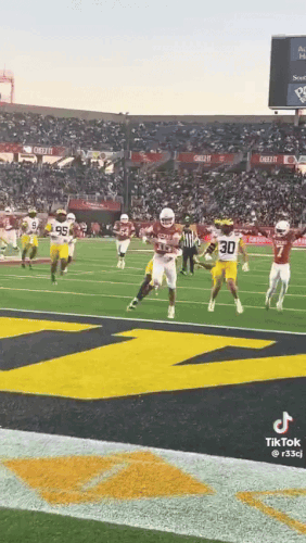 Arch v Michigan TD.gif