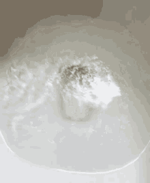 IMG_9183.gif