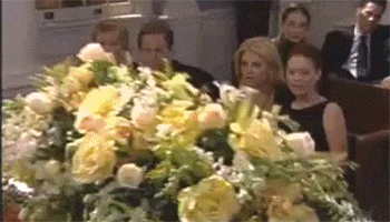 image.gif