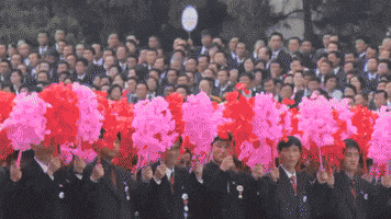 image.gif